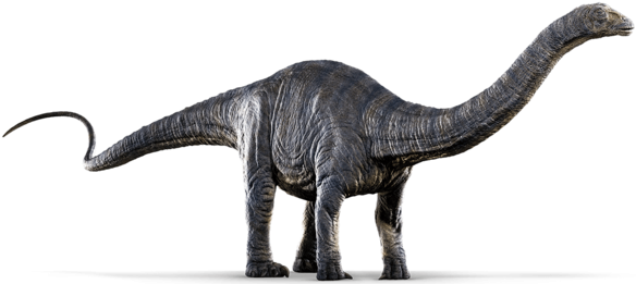 The Dinosaurs Of & - Dinosaurs Jurassic World (640x268)