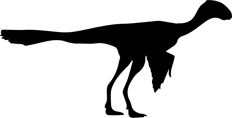 Dinosaur Archaeopteryx Shape Comments - Dinosaur Archaeopteryx Shape Comments (980x500)