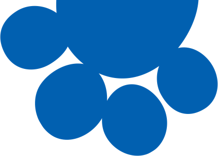 Our Premium Line Is Represented By Playdog, Products - Dog (430x308)