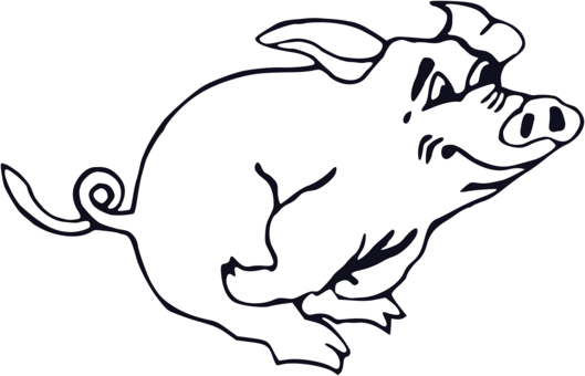 Domestic Pig Line Art Drawing Download - Snowball Animal Farm Drawing (529x340)