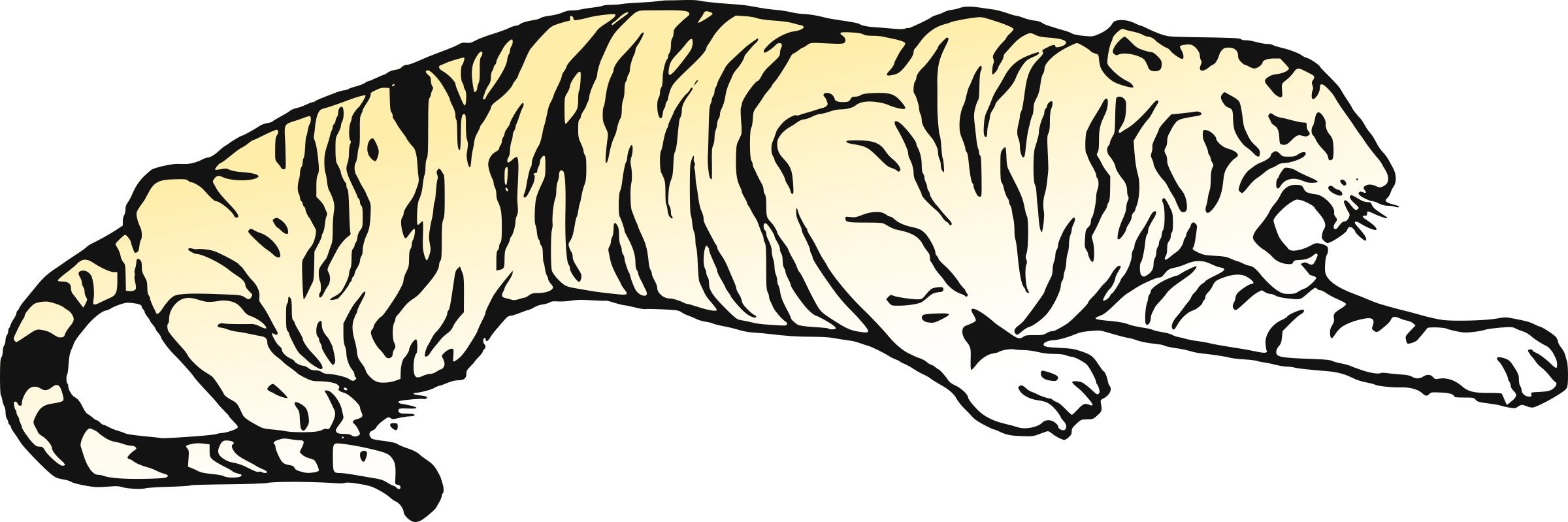 All Photo Png Clipart - Tiger (2400x799)