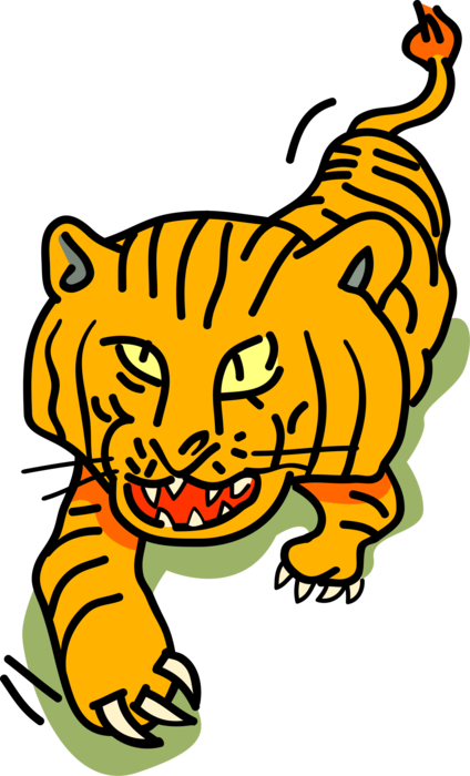 Vector Illustration Of Royal Bengal Tiger From From - Siberian Tiger (424x700)
