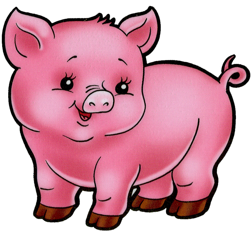 Pig Crafts, Pig Illustration, Cute Cartoon, Cartoon - Imagen En Caricatura De Un Cerdo (800x736)