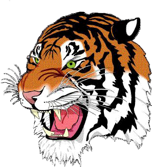 North Allegheny Tiger Logo (352x359)