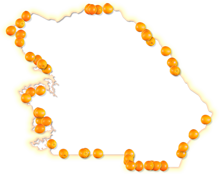 A Map Of Citrus With A Yellow-orange Glow Border And - Circle (768x612)