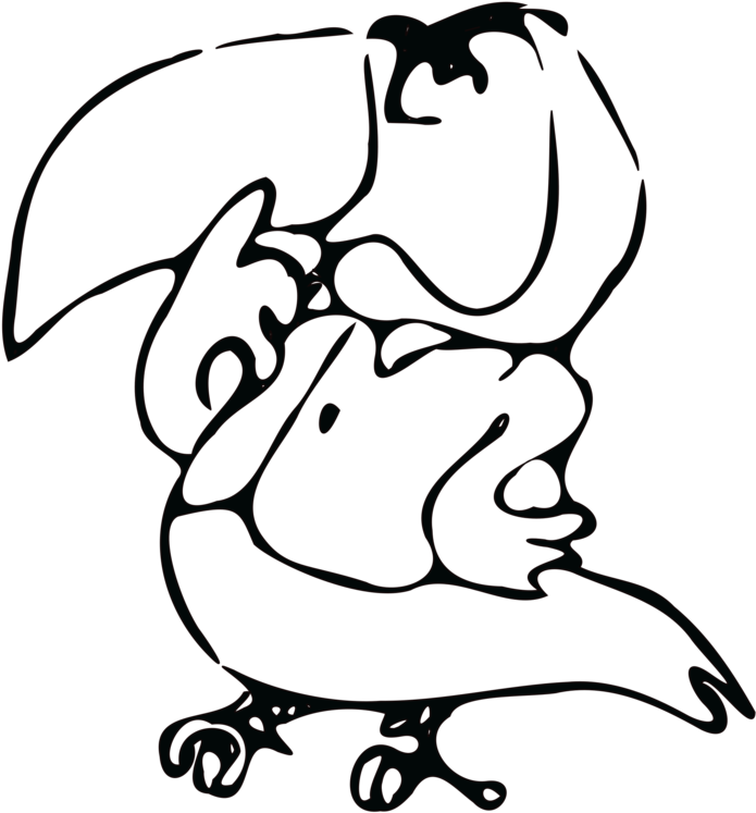 Drawing Computer Icons Line Art Black And White Toucan - Drawing (750x750)