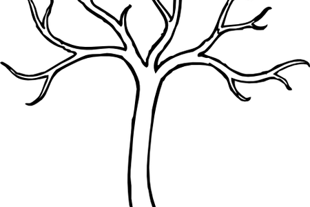 Clipart Library Asymmetrical Drawing Tree - Bare Tree Clipart Outline (450x300)