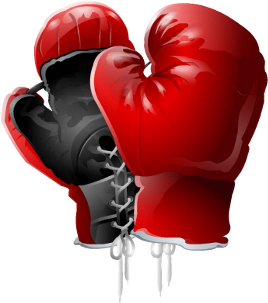Boxing Gloves Png Transparent (1024x1024)