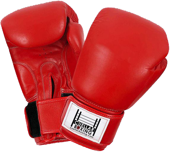 Boxing Png Mart - Boxing Gloves Transparent Background (600x600)
