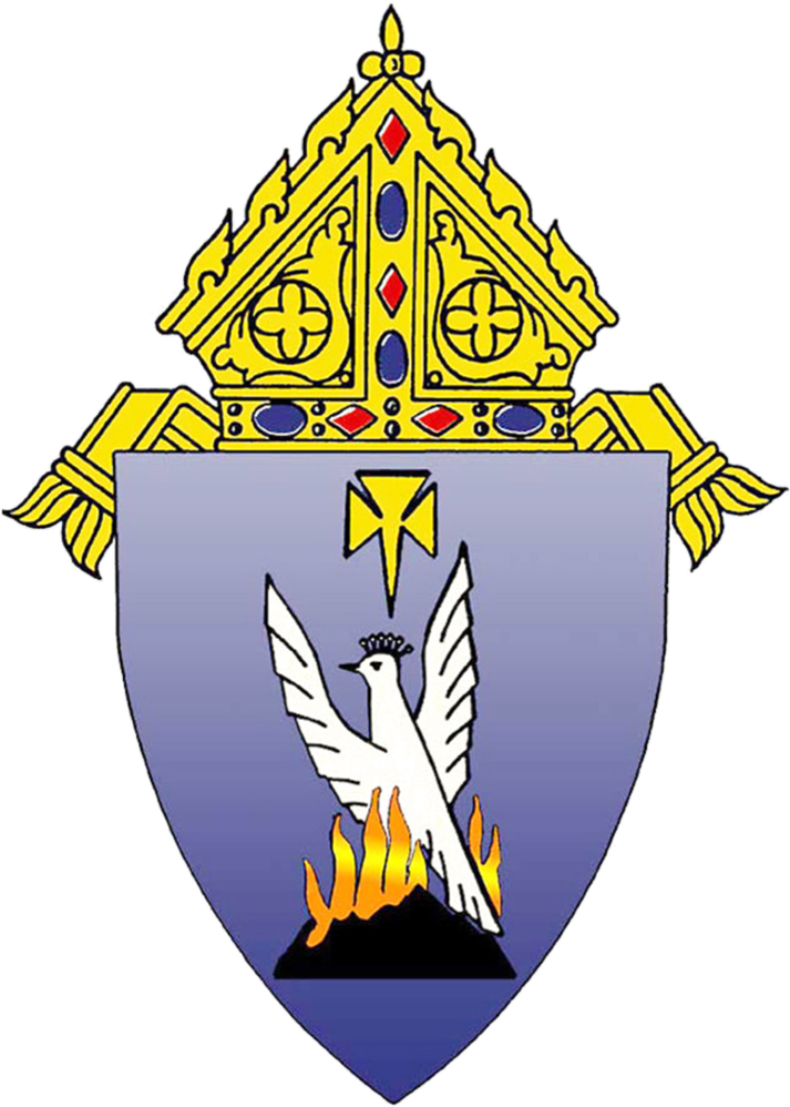 The Roman Catholic - Diocese Of Phoenix Logo (750x1041)