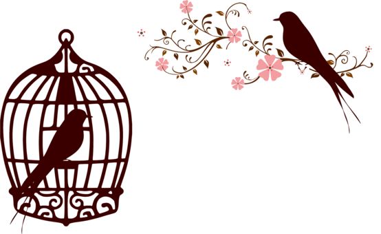 Birdcage Silhouette Lion - Floral Bird Cage Clipart (554x340)