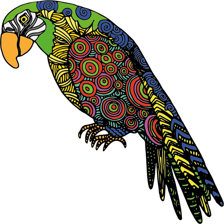 All Photo Png Clipart - Abstract Colorful Parrots In Yellow Red Green Blue (748x750)