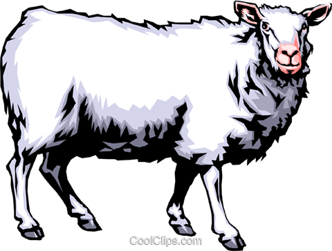 Sheep Royalty Free Vector Clip Art Illustration -anim0367 - Sheep Sounds (480x363)