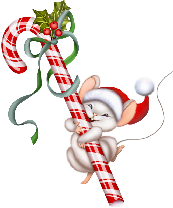 Láminas Infantiles Y Para Adolescentes - Transparent Christmas Candy Cane (667x800)