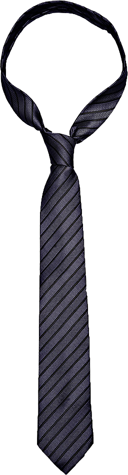 Tie Png Image - Grey Necktie Png (256x944)