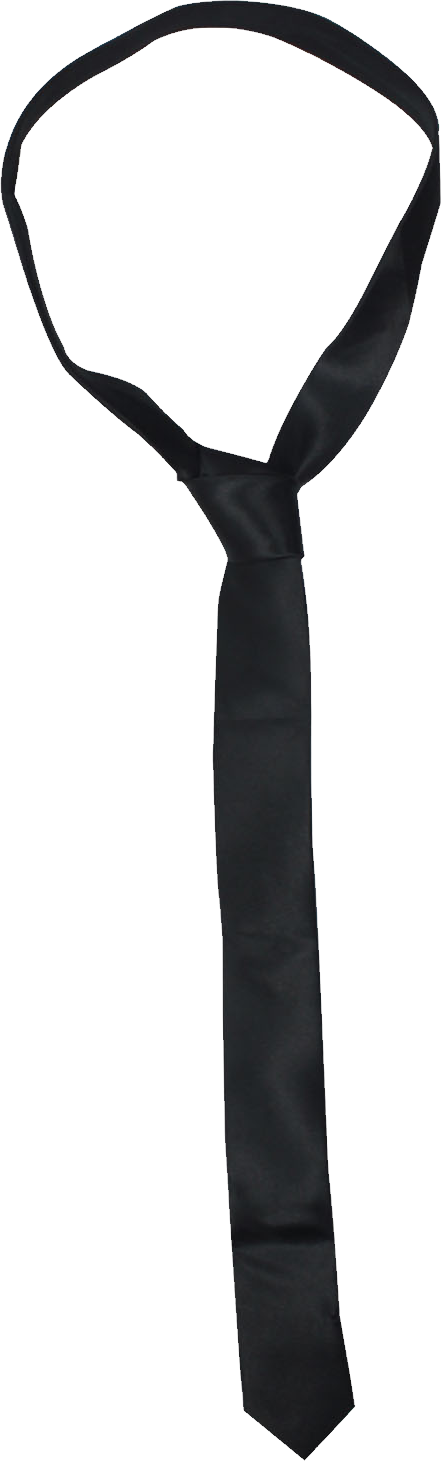 Black Tie Png Image - Black Tie Png (441x1461)
