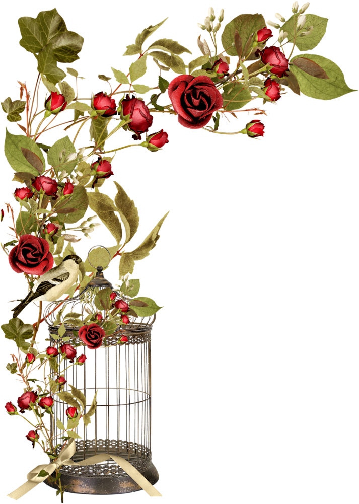Borders * Cantoneiras * Cluster Rose Flowers, Red Roses, - Jaula Con Rosas En Png (731x1024)