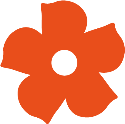 Orange Flower - Blue (417x417)