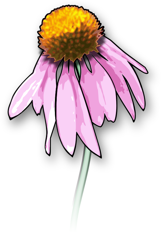 Drawing Death Download Dead Flowers Art - Dead Flower Clipart (525x800)