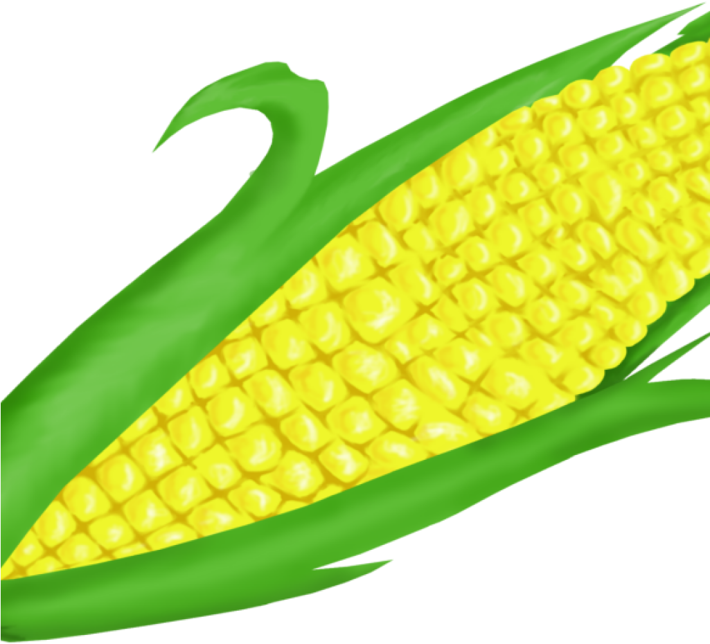 Corn Clipart Free Corn Clip Art Free Clipart Panda - Corn On Cob Clipart (1024x1024)