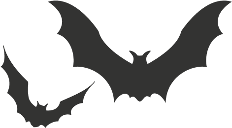 Picture Freeuse Cartoons Vector Bat - Halloween Fond Transparent (512x512)