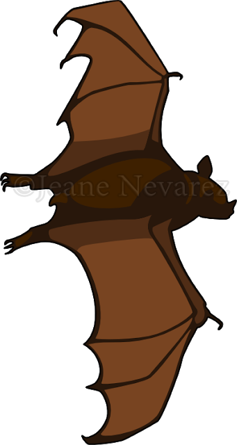 Dorsal View Of A Fruit-eating Bat, Or Flying Fox - Illustration (341x640)