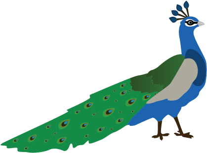 Walking Peacock Clipart Animal Clip Arts - 3 Peacock Clipart (508x508)