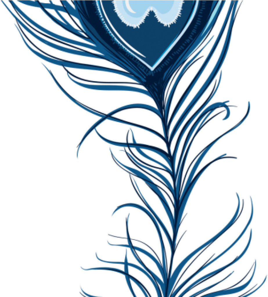 Peacock Feather Clipart Download Peacock Feather Free - Pfau-feder Danken Ihnen Karte (1024x1024)
