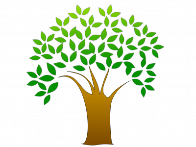 Clean Up Day Tree - Tree Clipart Transparent Background (400x300)
