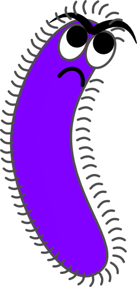 Graphic Library Stock Bacteria Clip Art At Clker - Gram Positive Bacteria Cartoon (282x592)