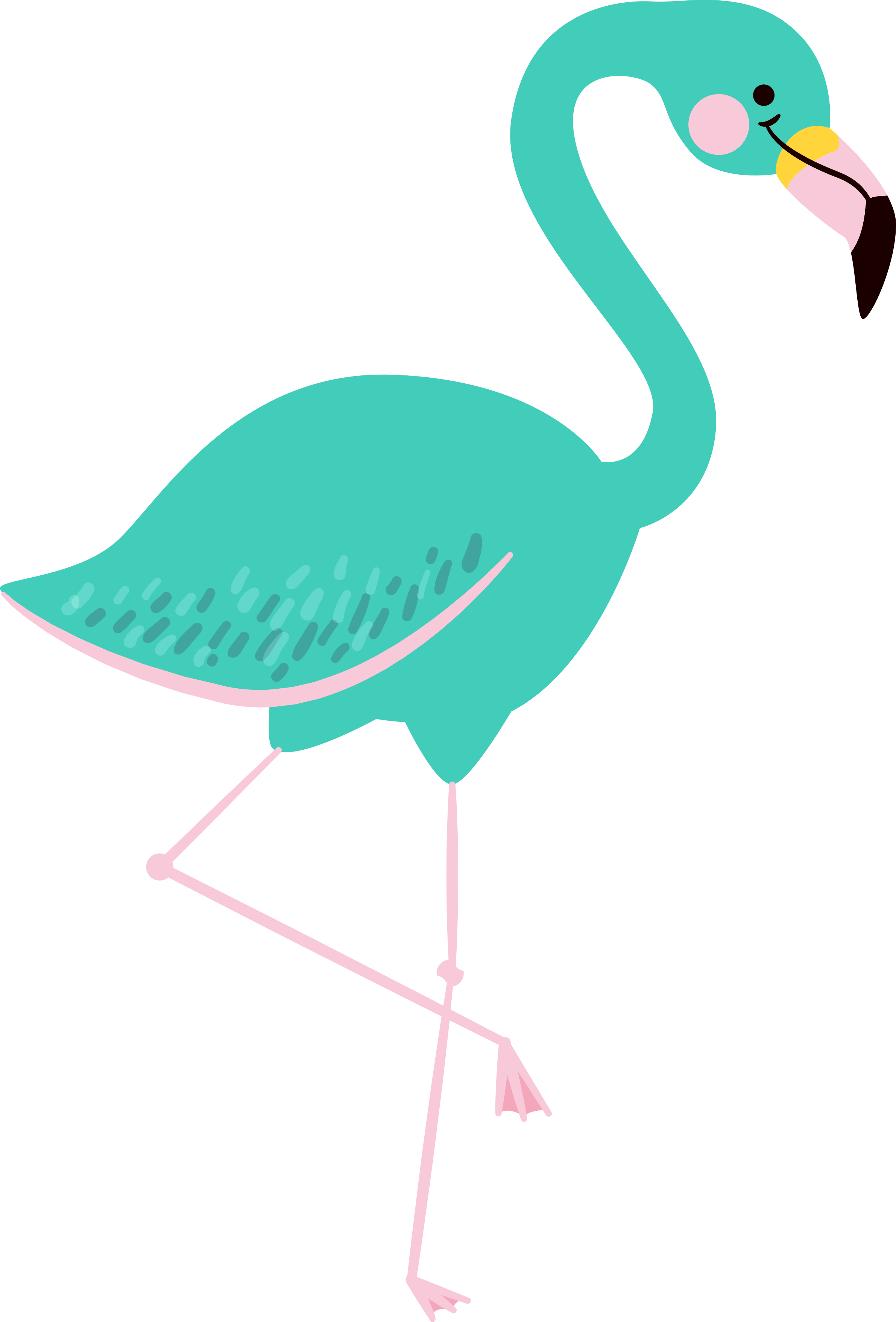 1 - Clip Art Flamingo Png (2382x3511)