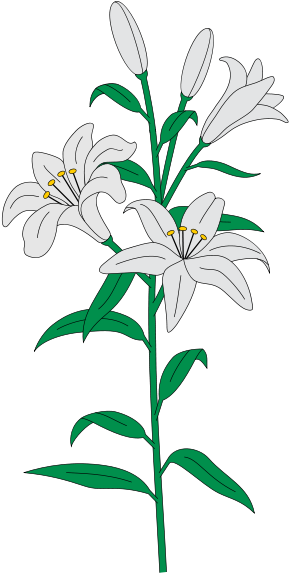 Sympathy - Monocotyledon (315x599)