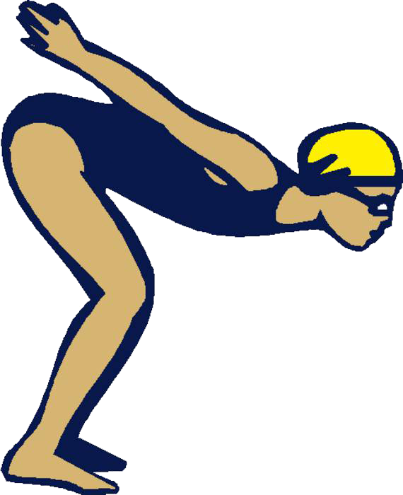 Ajcc Pool - Swimming Dive Cartoon (570x700)
