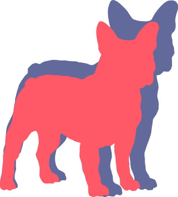 French Bulldog Health - French Bulldog (354x391)