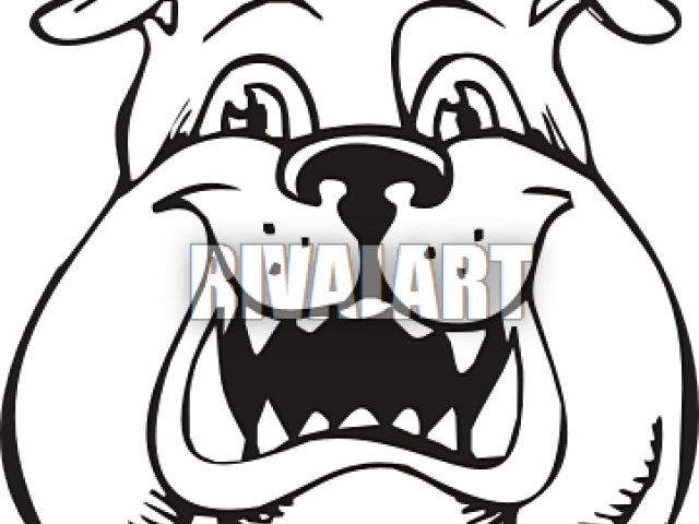 English Bulldog Clipart Simple Cartoon - Drawing (640x480)