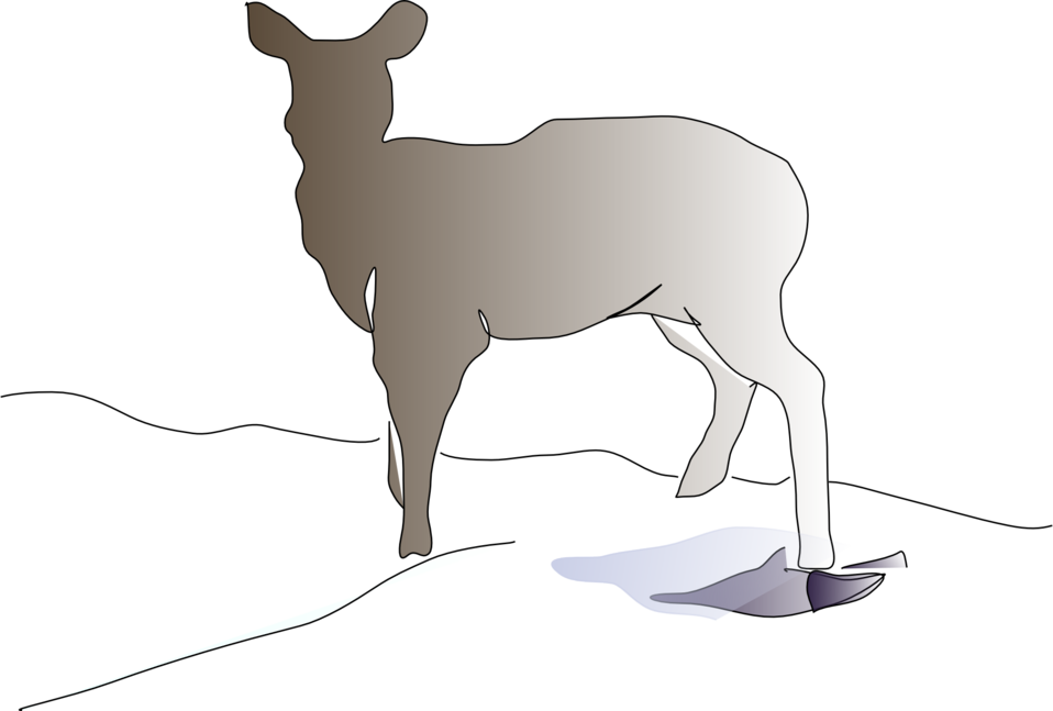 Deer Clipart - Clip Art (958x647)