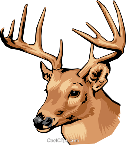 Deer Royalty Free Vector Clip Art Illustration - Dunham Massey Deer Beer (416x480)