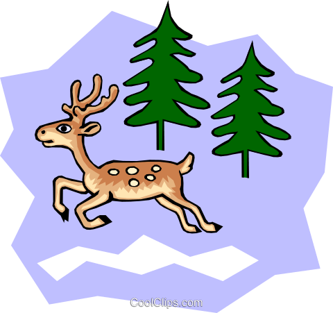 White-tailed Cartoon Deer Royalty Free Vector Clip - Deer (480x451)