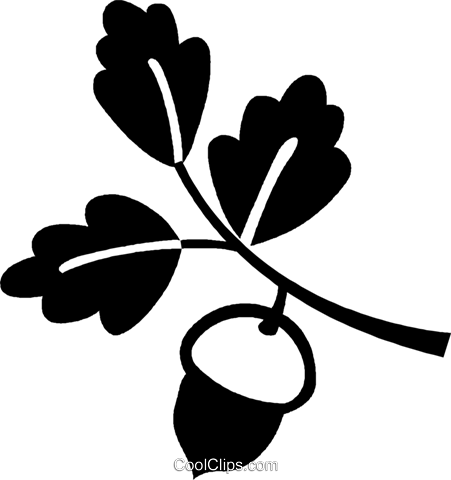 Acorn And Leaves Royalty Free Vector Clip Art Illustration - Acorn (451x480)