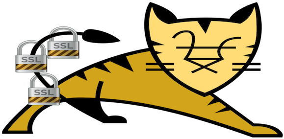 Configuring Multiple Ssl Certificates For A Single - Apache Tomcat (660x300)