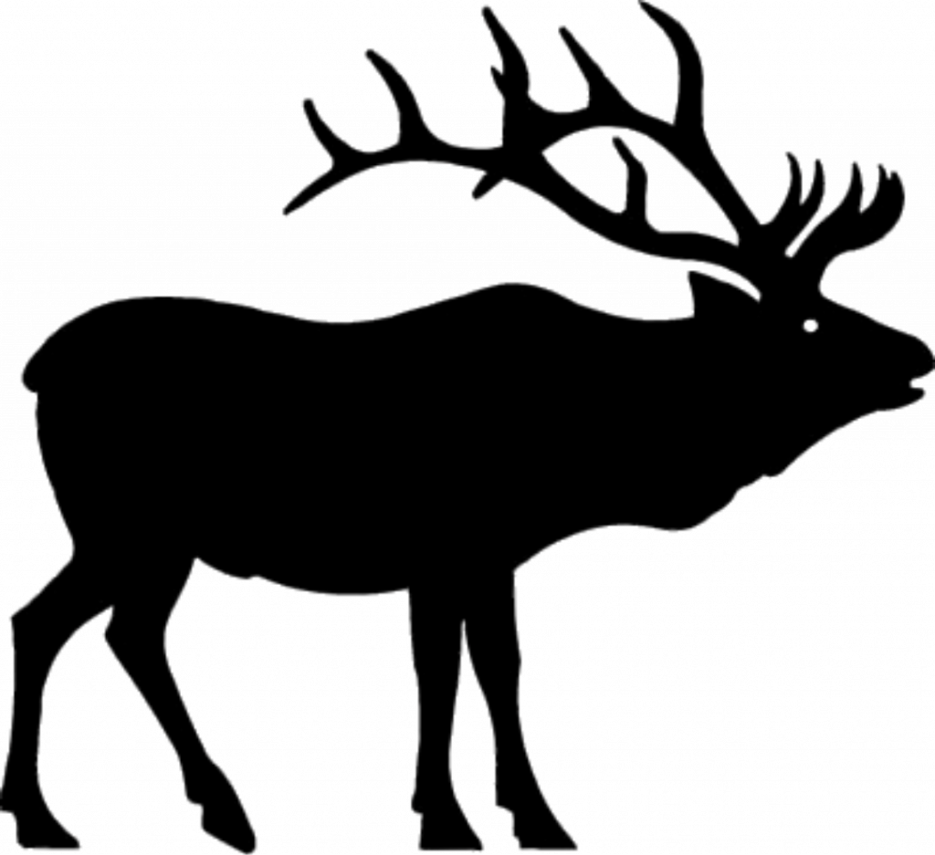 Banner Library Download Elk Skull Clipart - Elk Antler Pumpkin Carving (1024x937)