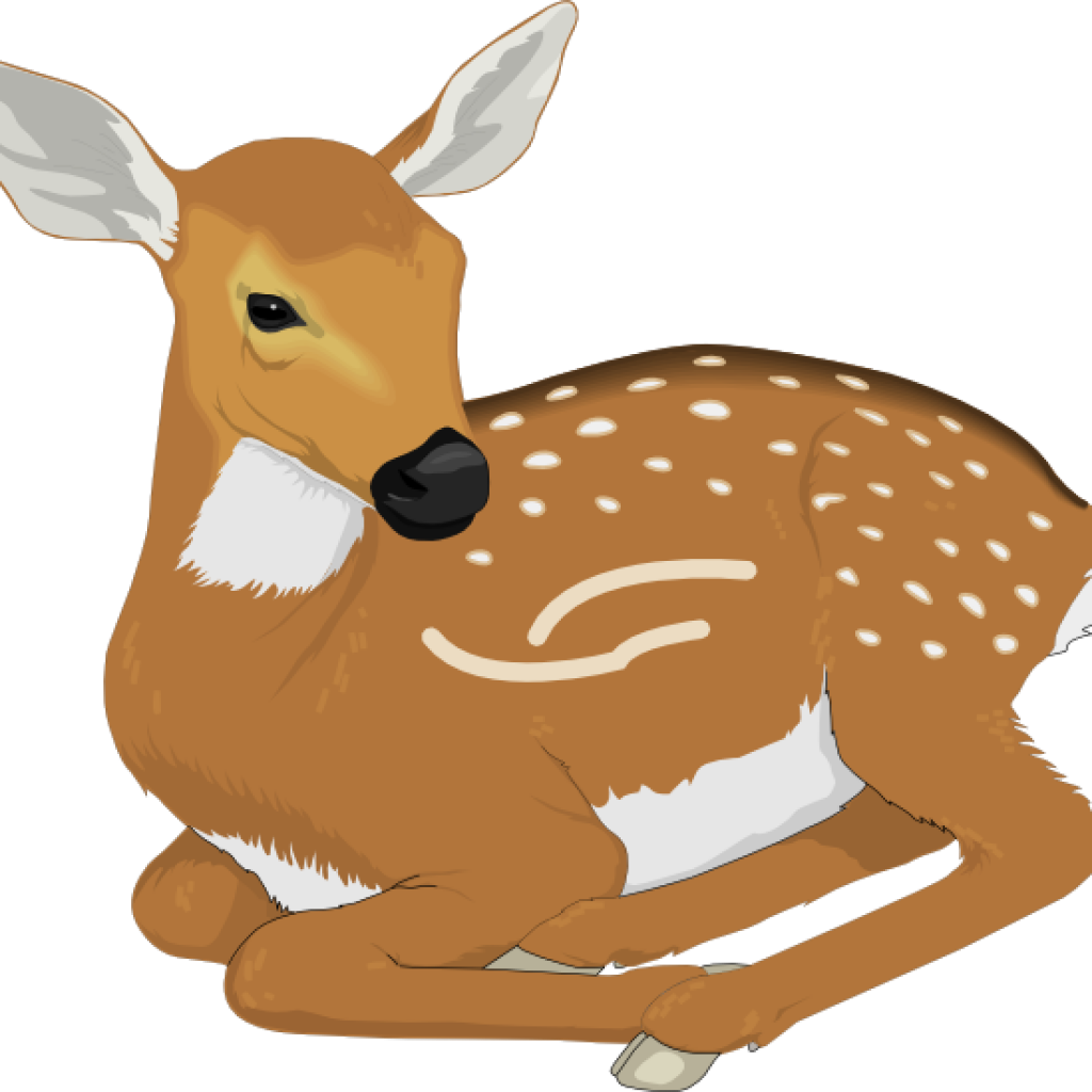 Baby Deer Clip Art Resting Ba Deer Clip Art At Clker - Fawn Clipart (1024x1024)