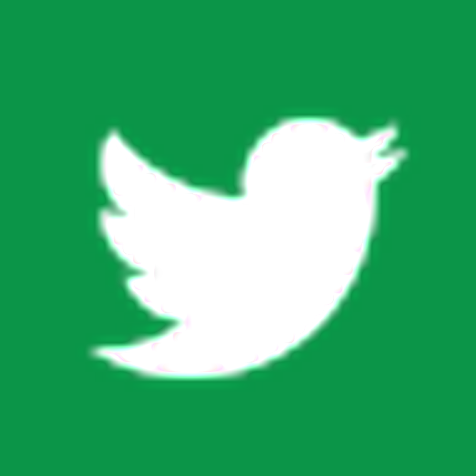 Follow The Shamrocks - Green Twitter Logo Png (960x960)