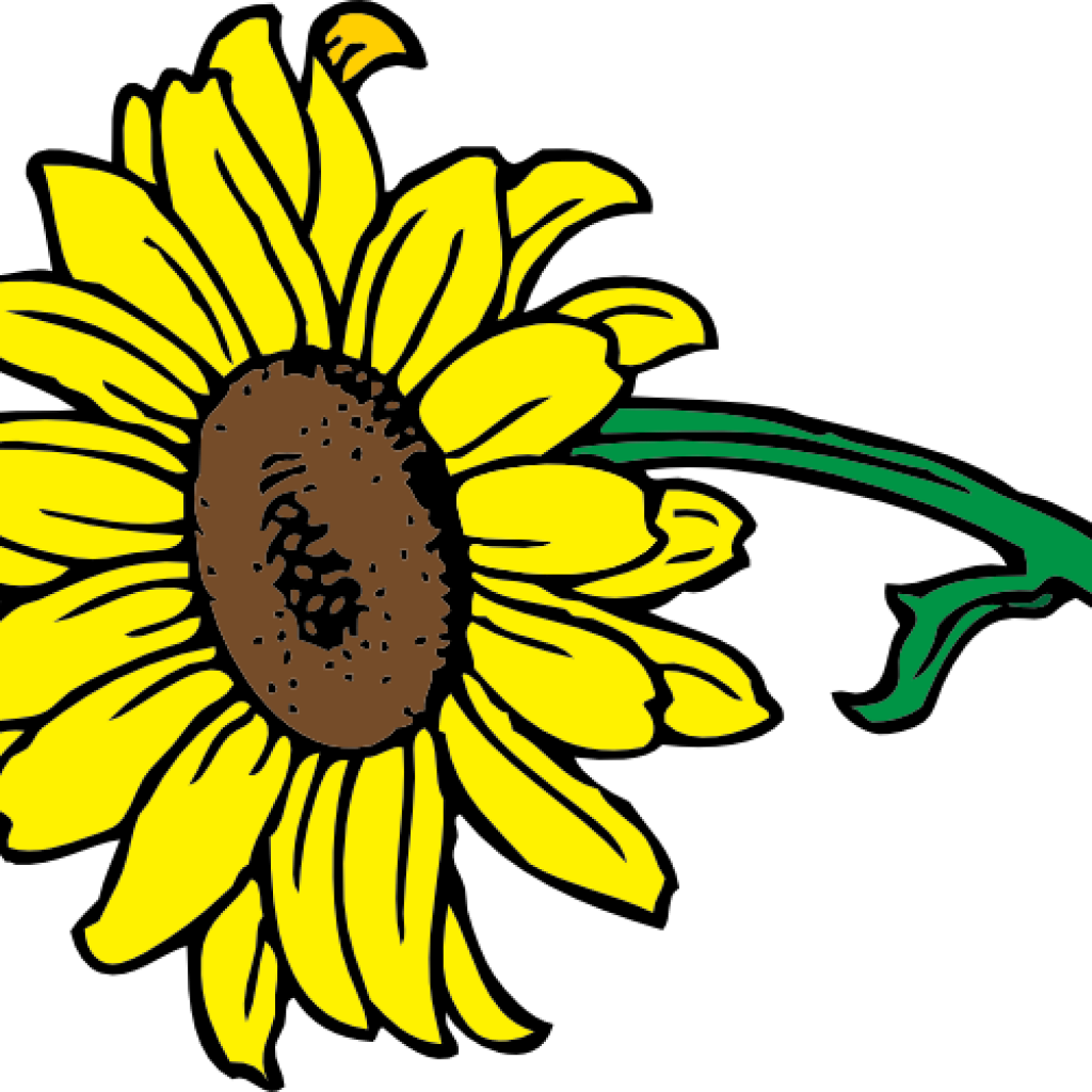 Sunflower Clipart Free Sunflower Clipart At Getdrawings - Helle Sonnenblume Mit Blätter Kissen (1024x1024)