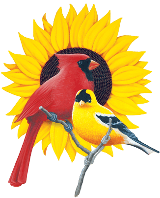 Logo - Healthy Is Important For Life (337x409)