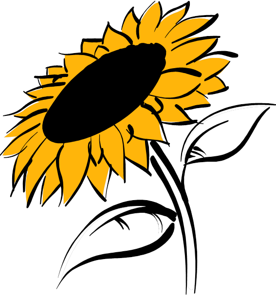 Seeds - Sunflower Clip Art (567x612)
