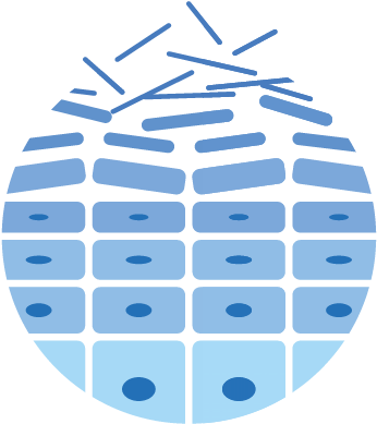 The Kerato Line Contains Gluconolactone In Addition - Champú Dermatológico Kerato Ataque 200ml (352x393)