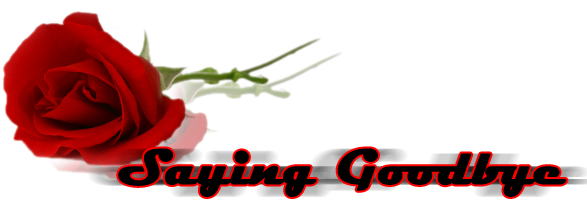 Goodbye Png Transparent Image - Portable Network Graphics (600x200)