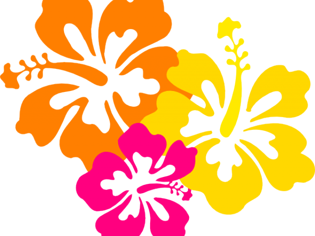 Hawaiian Flowers Clipart Png (640x480)