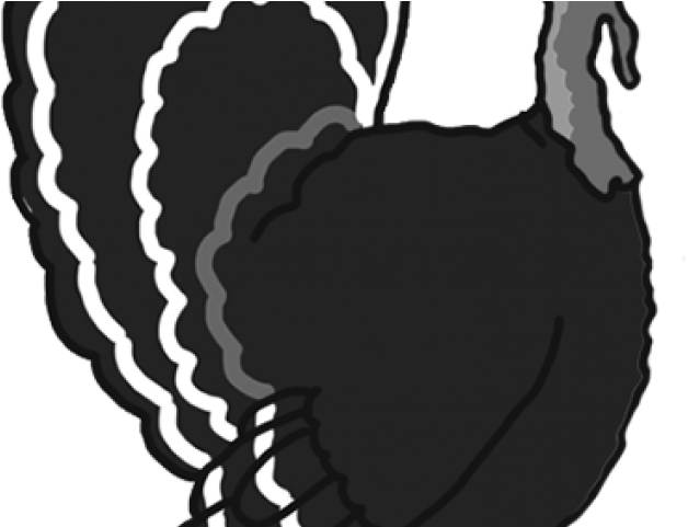 Drawn Turkey Clipart - Turkey Meat (640x480)